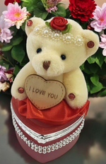 I Love You Bear With Heart Shaped Jewelry Gift Box Red