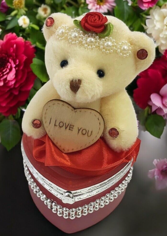 I Love You Bear With Heart Shaped Jewelry Gift Boxes SET OF 2 Red and Pink