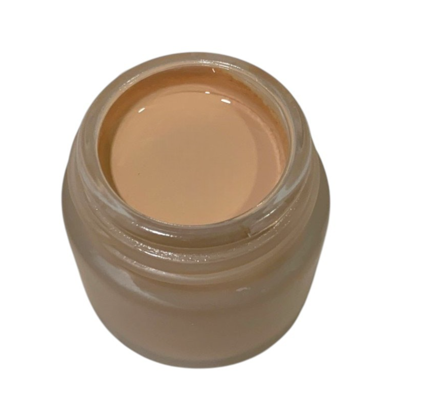 Made in JAPAN Shiseido INTEGRATE GRACY Moist Cream Foundation 25g Ochre 10