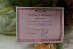 PORCELAIN BROWN HAIR CRAWLING FAIRY BABY 22" GREEN DRESS SILK BLANKET