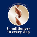 2-Clairol Nice'n Easy Permanent Hair Dye, 6R Light Auburn 100% Gray Coverage
