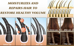 BLACK GINGER HAIR CARE SHAMPOO HERBAL Ginger Hair Growth Treatment 400ml /13.5oz