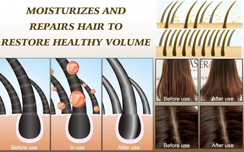 BLACK GINGER HAIR CARE SHAMPOO HERBAL Ginger Hair Growth Treatment 400ml /13.5oz
