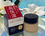 Made in JAPAN Shiseido INTEGRATE GRACY Moist Cream Foundation 25g Ochre 10