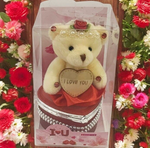 I Love You Bear With Heart Shaped Jewelry Gift Box Red